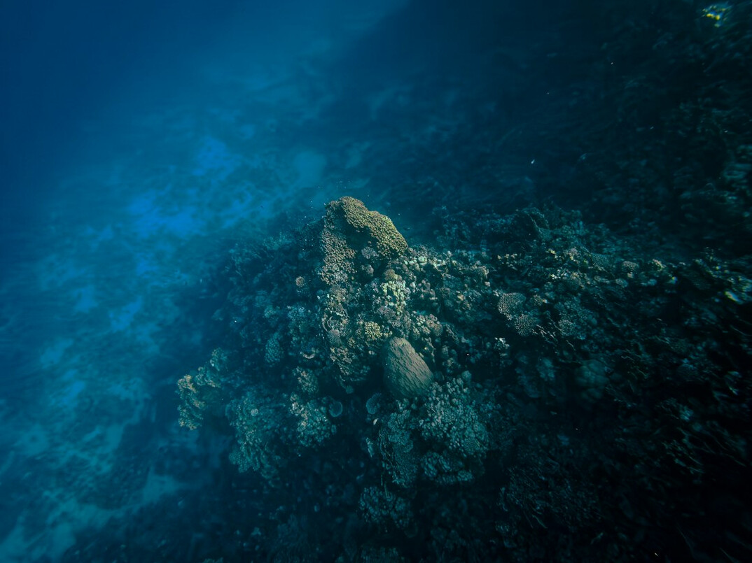 diver exploring seabed