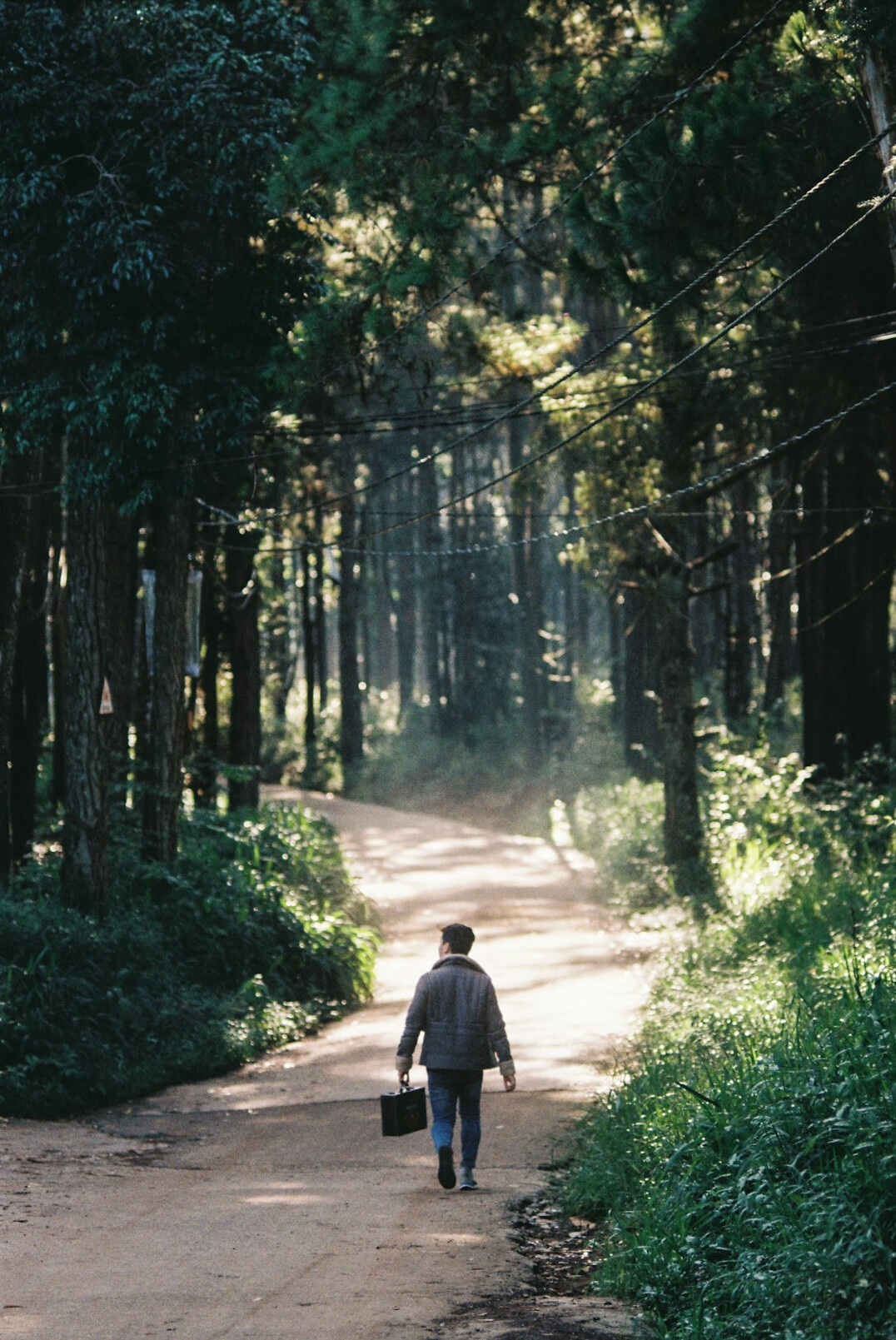 man walking alone in forest