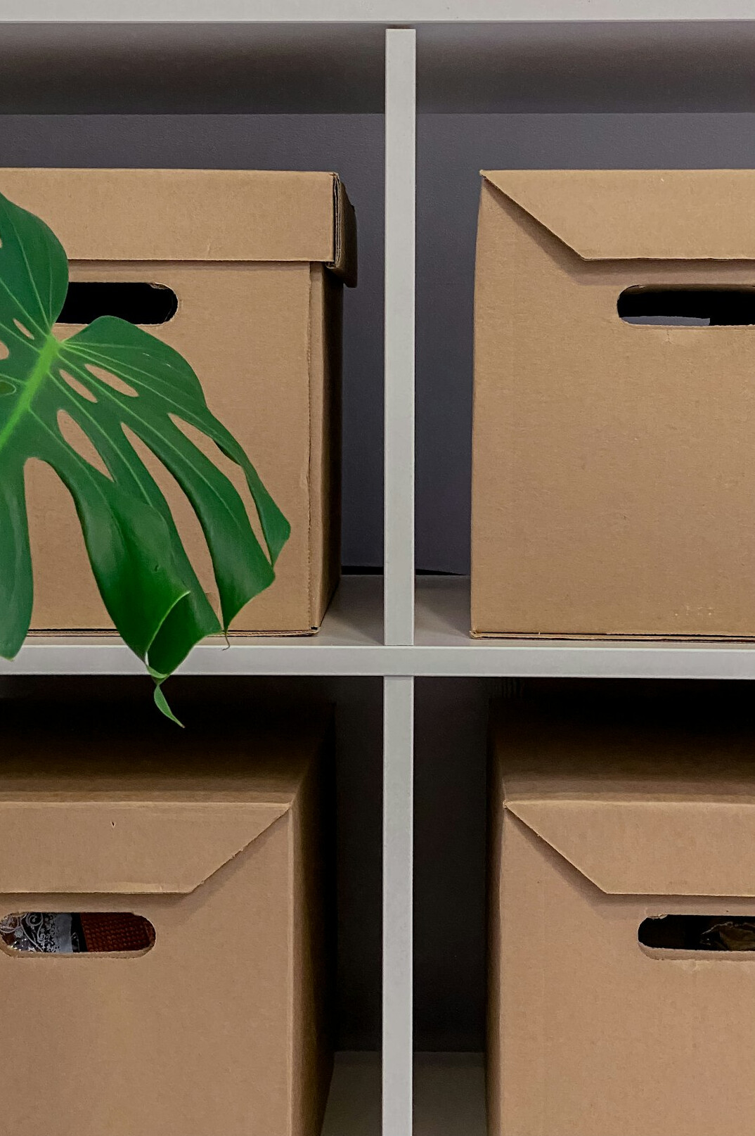 archive shelves with boxes